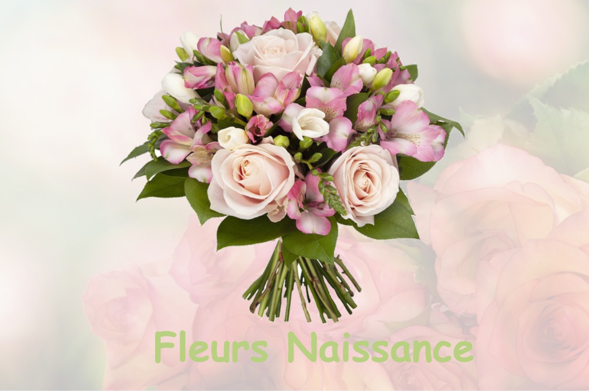 fleurs naissance BIARROTTE