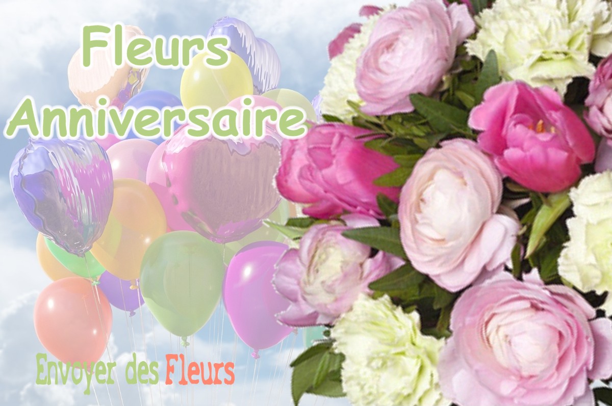 lIVRAISON FLEURS ANNIVERSAIRE à BIARROTTE