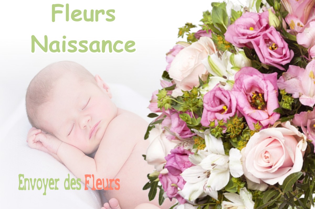 lIVRAISON FLEURS NAISSANCE à BIARROTTE